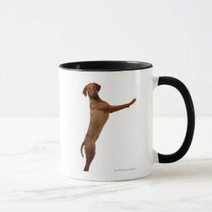 Caneca Cão de Vizsla