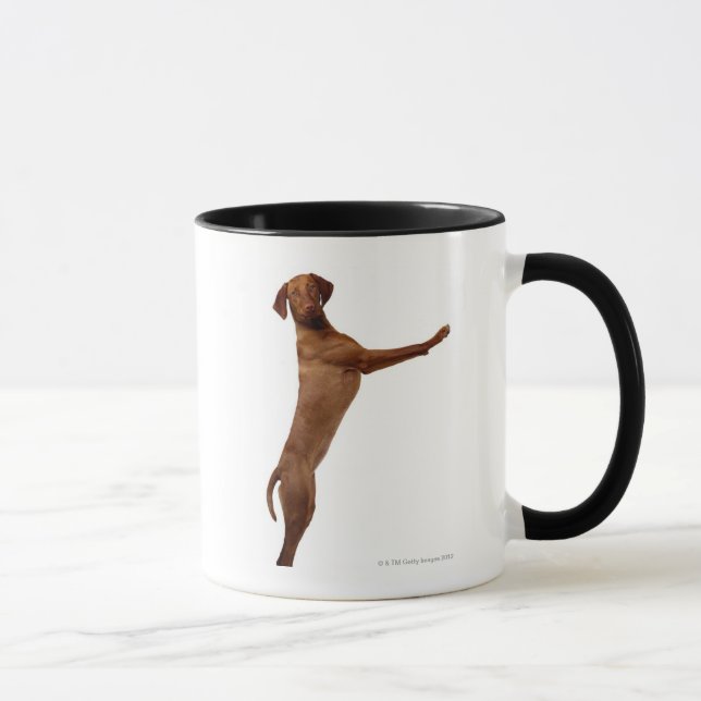Caneca Cão de Vizsla (Direita)