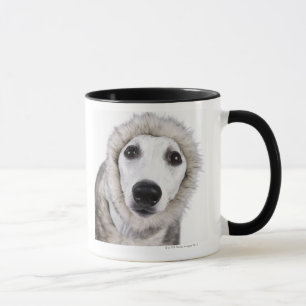 Caneca Cão de Whippet que veste o casaco de pele, tiro d