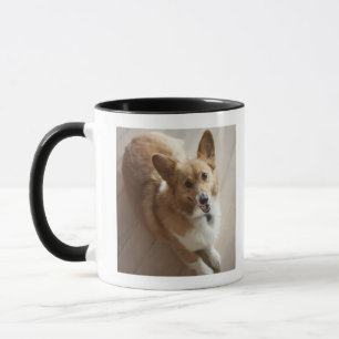 Caneca Cão do corgi do Pembroke de Galês que encontra-s