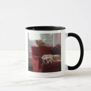 Caneca Cão do golden retriever com o gato de gato malhad