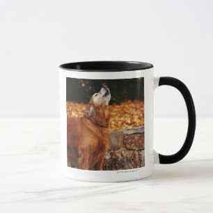 Caneca Cão do golden retriever que urra no trajeto
