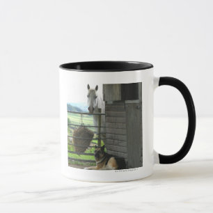 Caneca Cão e cavalo no rancho em Menton, France