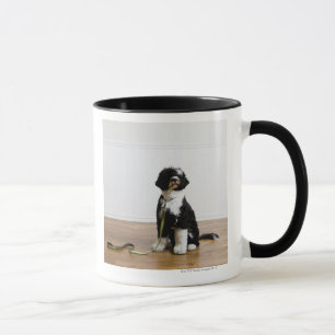 Caneca cão em uma trela