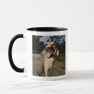 Caneca Cão feliz que funciona em torno do exercício for