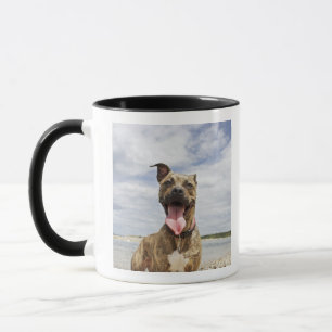 Caneca cão na praia