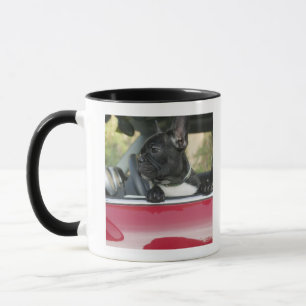 Caneca Cão no carro