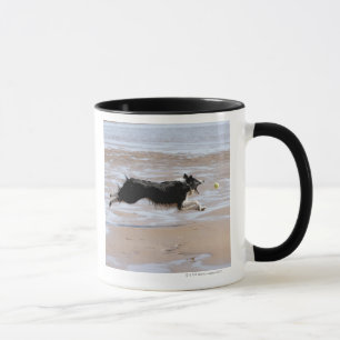 Caneca Cão que persegue uma bola na praia