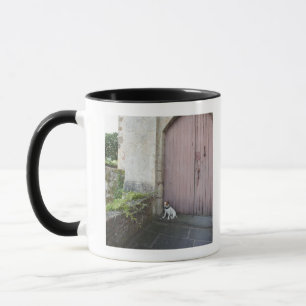 Caneca Cão que senta-se na frente das portas fechados