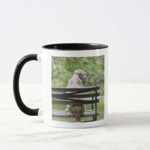 Caneca Cão que senta-se no banco de parque