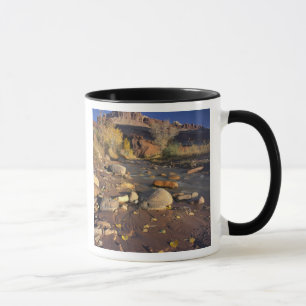 Caneca CAPITOL REEF NATIONAL PARK, UT, EUA, Cottonwood