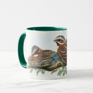 Caneca Caprimulgus Ruficollis