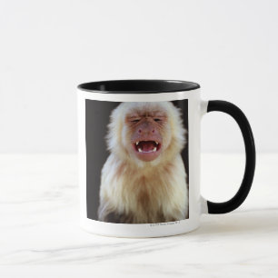 Caneca capuchin Branco-throated (capucinus de Cebus)