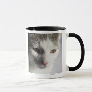 Caneca Cara de um gato