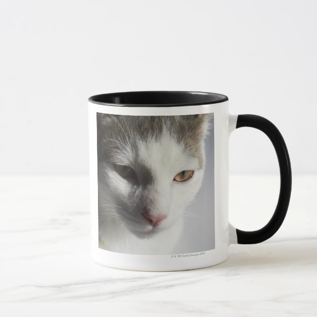 Caneca Cara de um gato (Direita)