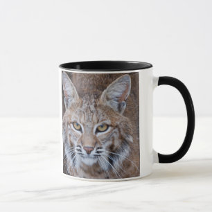 Caneca Cara do lince