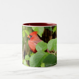 caneca cardinal