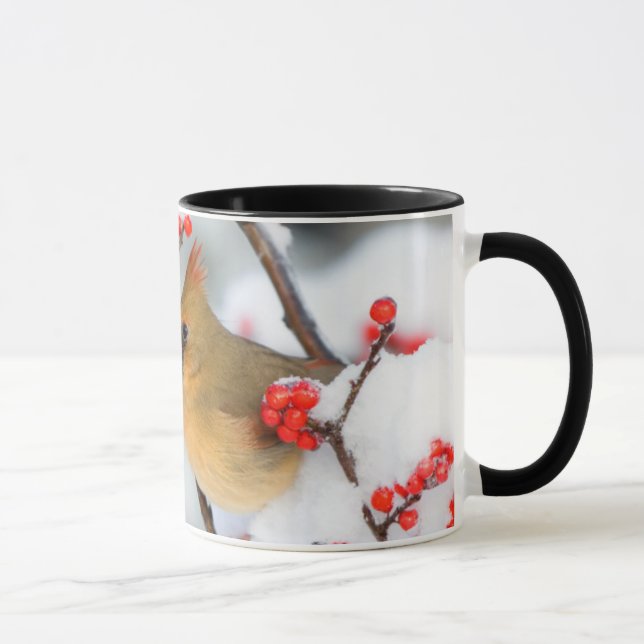 Caneca Cardinal-do-norte fêmea em Winterberry Comum (Direita)