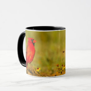 Caneca Cardinal macho em tronco