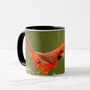 Caneca Cardinal macho no galho