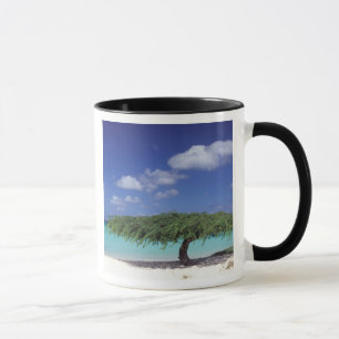 Caneca Caribe, Aruba. Praia da Águia