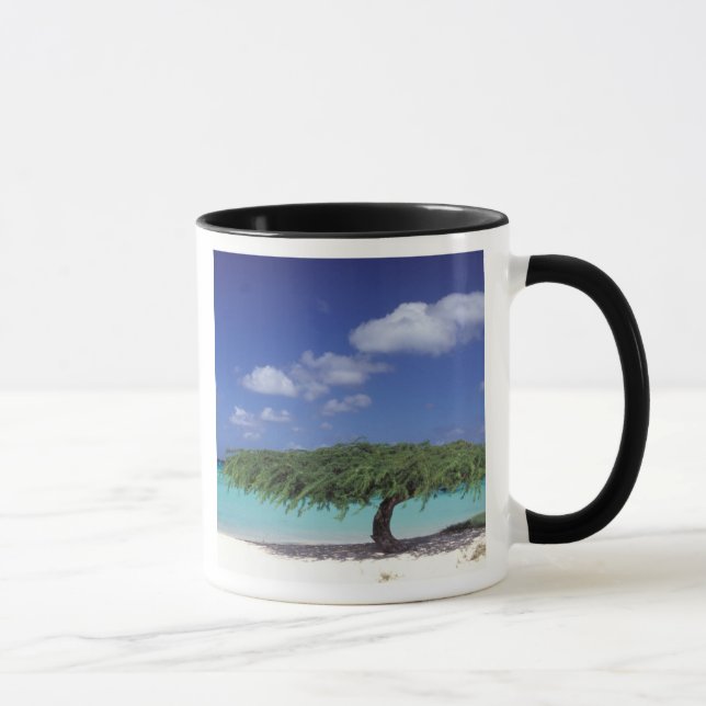 Caneca Caribe, Aruba. Praia da Águia (Direita)
