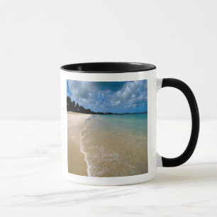 Caneca Caribe, Ilhas Leeward, Antígua, Dickenson