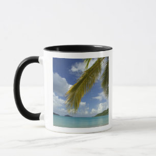 Caneca Caribe, Ilhas Virgens Americanas, Rua. Thomas,