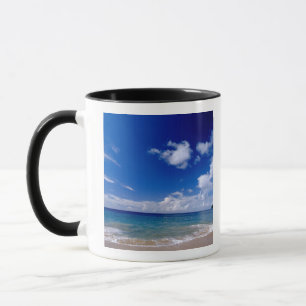 Caneca Caribe, Pequenas Antilhas, Índias Ocidentais,