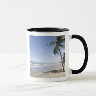 Caneca Caribe - Trinidad - Praia Manzanilla em 2