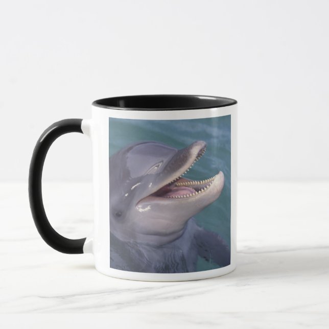 Caneca Caribenho, golfinho-nariz-de-garrafa (Esquerda)