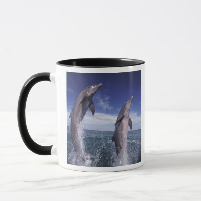 Caneca Caribenho, golfinhos-nariz-de-garrafa Tursiops (Esquerda)