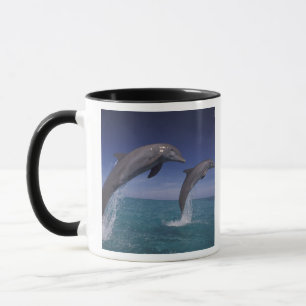 Caneca Caribenho, golfinhos-nariz-de-garrafa Tursiops