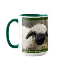 Carneiro preto do carneiro