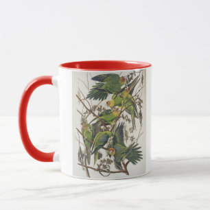 Caneca Carolina Parakeet, de 'Birds of America', 1829