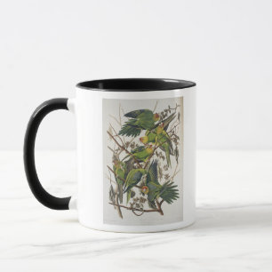 Caneca Carolina Parakeet, de 'Birds of America', 1829