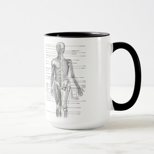 Caneca Carta humana da anatomia (Direita)