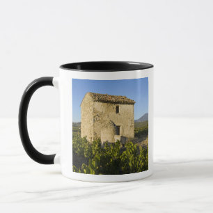 Caneca Casa antiga no Comtat Venaissin, Vaucluse,
