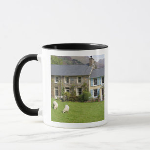 Caneca Casas de campo, Beddgelert, Gwynedd, País de Gales