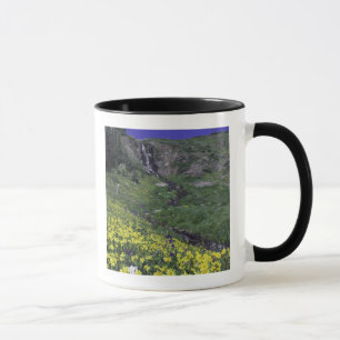 Caneca Cascata e flores silvestres em prados alpinos,