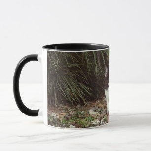 Caneca Cat. Shorthair - Mug