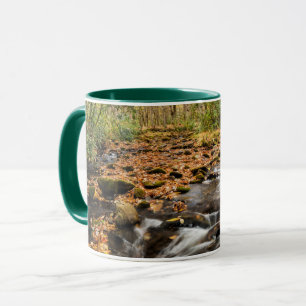 Caneca Cataloochee Creek NC Grandes Montanhas Fumosas