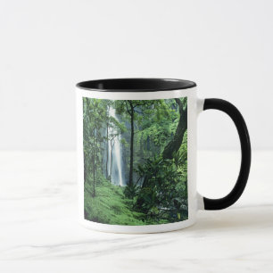 Caneca Cataratas Hanakapiai ao longo da Costa Na Pali, Ka