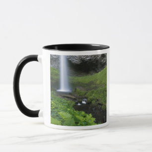 Caneca Cataratas Latourell, Desfiladeiro do Rio Columbia,