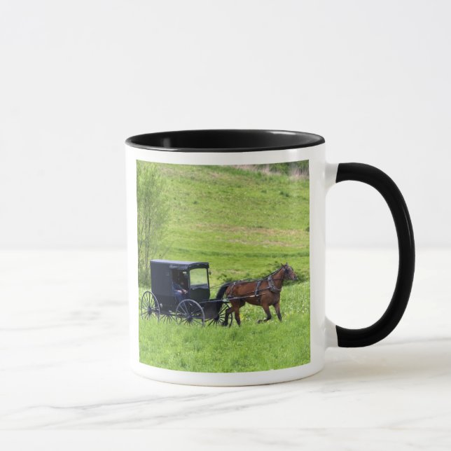Caneca Cavalo Amish e charrete perto de Berlim, Ohio. (Direita)