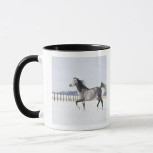 Caneca cavalo branco no inverno