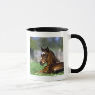 Caneca Cavalo do puro-sangue, Ireland