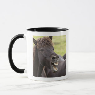 Caneca Cavalo islandês com expressão engraçada