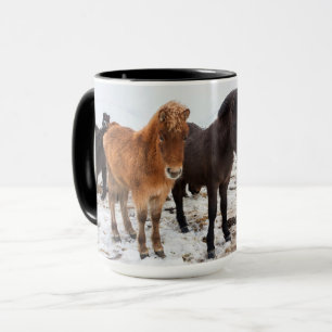 Caneca Cavalo islandês Durante o inverno na Islândia