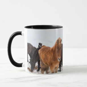 Caneca Cavalo islandês durante o inverno na Islândia